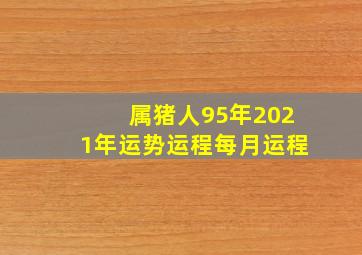 属猪人95年2021年运势运程每月运程