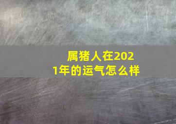 属猪人在2021年的运气怎么样