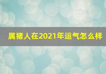 属猪人在2021年运气怎么样