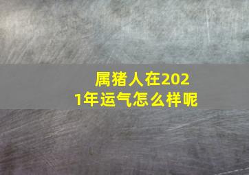 属猪人在2021年运气怎么样呢