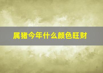 属猪今年什么颜色旺财