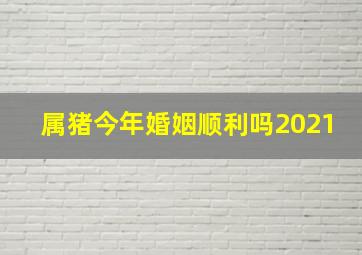 属猪今年婚姻顺利吗2021