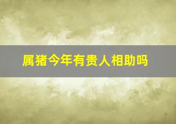 属猪今年有贵人相助吗