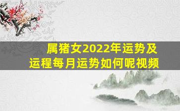 属猪女2022年运势及运程每月运势如何呢视频