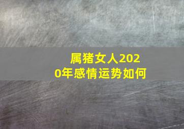 属猪女人2020年感情运势如何