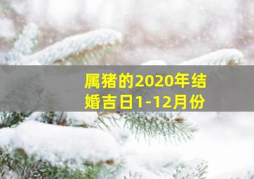 属猪的2020年结婚吉日1-12月份