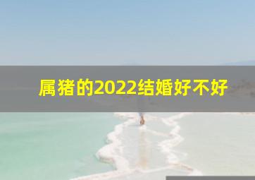 属猪的2022结婚好不好