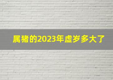 属猪的2023年虚岁多大了