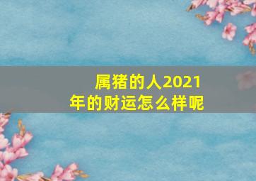 属猪的人2021年的财运怎么样呢