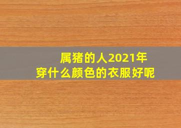 属猪的人2021年穿什么颜色的衣服好呢