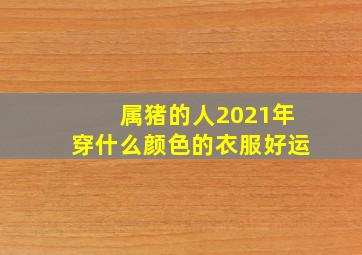 属猪的人2021年穿什么颜色的衣服好运