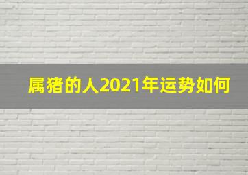 属猪的人2021年运势如何