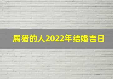 属猪的人2022年结婚吉日