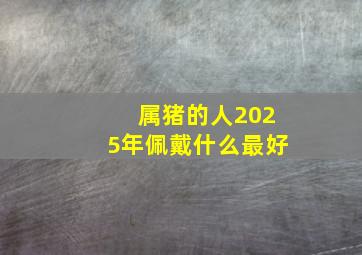 属猪的人2025年佩戴什么最好