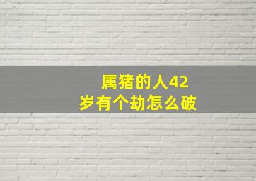 属猪的人42岁有个劫怎么破