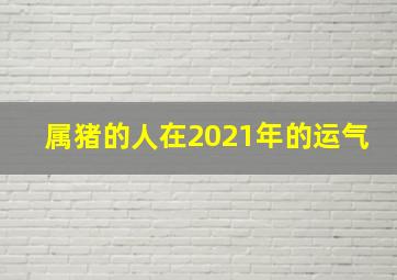 属猪的人在2021年的运气