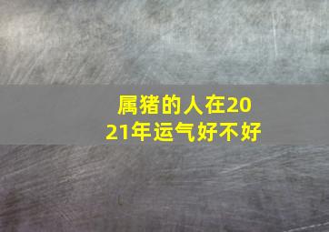 属猪的人在2021年运气好不好