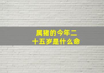 属猪的今年二十五岁是什么命