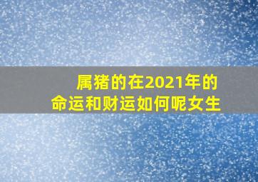 属猪的在2021年的命运和财运如何呢女生