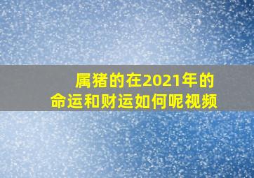 属猪的在2021年的命运和财运如何呢视频