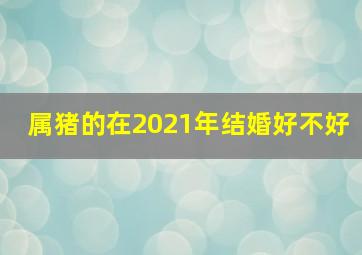 属猪的在2021年结婚好不好