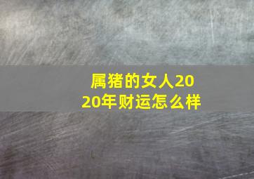 属猪的女人2020年财运怎么样