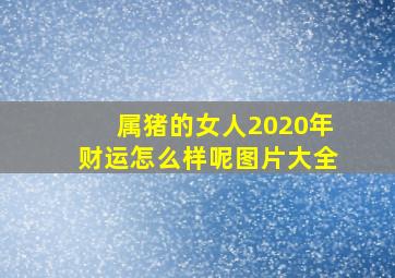 属猪的女人2020年财运怎么样呢图片大全