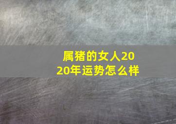 属猪的女人2020年运势怎么样