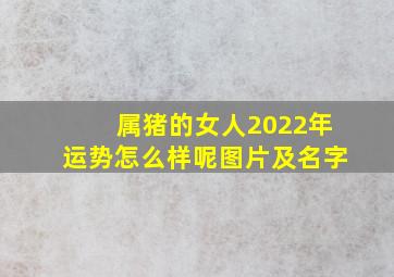 属猪的女人2022年运势怎么样呢图片及名字