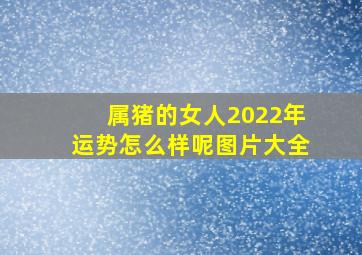 属猪的女人2022年运势怎么样呢图片大全