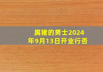 属猪的男士2024年9月13日开业行否