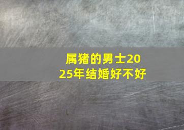 属猪的男士2025年结婚好不好