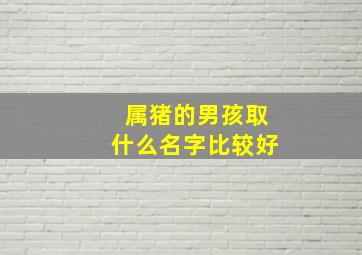 属猪的男孩取什么名字比较好