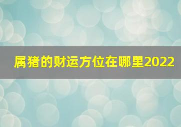 属猪的财运方位在哪里2022