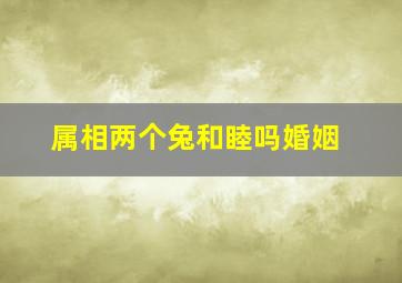 属相两个兔和睦吗婚姻