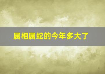 属相属蛇的今年多大了