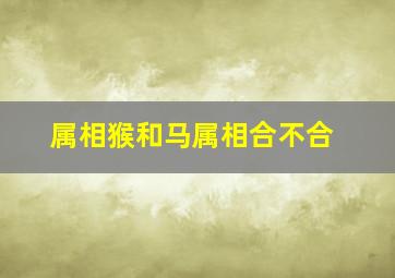 属相猴和马属相合不合