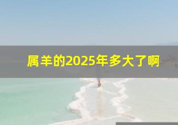 属羊的2025年多大了啊