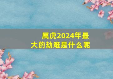 属虎2024年最大的劫难是什么呢