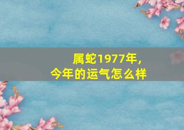 属蛇1977年,今年的运气怎么样