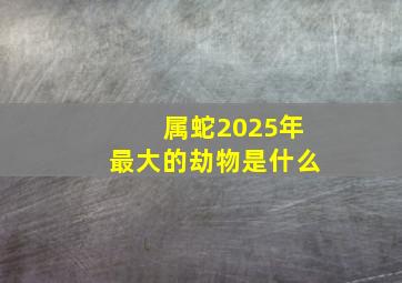 属蛇2025年最大的劫物是什么