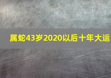 属蛇43岁2020以后十年大运