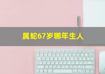 属蛇67岁哪年生人