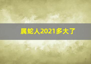 属蛇人2021多大了