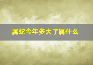 属蛇今年多大了属什么