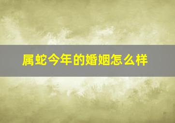 属蛇今年的婚姻怎么样