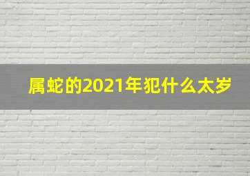 属蛇的2021年犯什么太岁