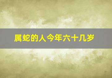 属蛇的人今年六十几岁