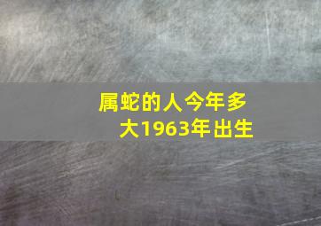 属蛇的人今年多大1963年出生