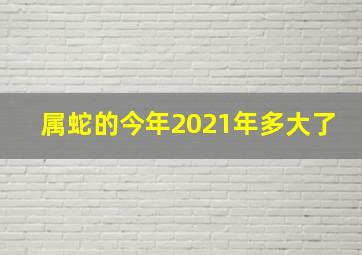 属蛇的今年2021年多大了